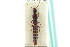  ( - CNC COLEO 00251132)  @13 [ ] CreativeCommons - Attribution (2014) CBG Photography Group Centre for Biodiversity Genomics