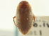  ( - CNC COLEO 00252376)  @13 [ ] CreativeCommons - Attribution (2014) CBG Photography Group Centre for Biodiversity Genomics