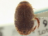  ( - CNC COLEO 00252384)  @13 [ ] CreativeCommons - Attribution (2014) CBG Photography Group Centre for Biodiversity Genomics
