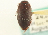  ( - CNC COLEO 00252402)  @13 [ ] CreativeCommons - Attribution (2014) CBG Photography Group Centre for Biodiversity Genomics