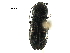  ( - BIOUG32074-H06)  @13 [ ] CreativeCommons - Attribution (2017) CBG Photography Group Centre for Biodiversity Genomics