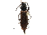 ( - BIOUG32074-H07)  @11 [ ] CreativeCommons - Attribution (2017) CBG Photography Group Centre for Biodiversity Genomics