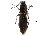  ( - BIOUG32074-H08)  @13 [ ] CreativeCommons - Attribution (2017) CBG Photography Group Centre for Biodiversity Genomics