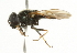  ( - CNC DIPTERA 101779)  @12 [ ] CreativeCommons - Attribution (2011) CNC/CBG Photography Group Centre for Biodiversity Genomics