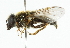  ( - CNC DIPTERA 101827)  @14 [ ] CreativeCommons - Attribution (2011) CNC/CBG Photography Group Centre for Biodiversity Genomics