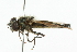  ( - CNC DIPTERA 101835)  @13 [ ] CreativeCommons - Attribution (2011) CNC/CBG Photography Group Centre for Biodiversity Genomics