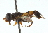  ( - CNC DIPTERA 102716)  @12 [ ] CreativeCommons - Attribution (2011) CNC/CBG Photography Group Centre for Biodiversity Genomics