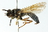  ( - CNC DIPTERA 102756)  @13 [ ] CreativeCommons - Attribution (2011) CNC/CBG Photography Group Centre for Biodiversity Genomics