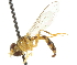  (Maiana callidus - CNC DIPTERA 105395)  @11 [ ] CreativeCommons - Attribution (2011) CNC/CBG Photography Group Centre for Biodiversity Genomics