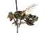  ( - CNC DIPTERA 47904)  @11 [ ] CreativeCommons - Attribution (2011) CNC/CBG Photography Group Centre for Biodiversity Genomics