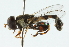  ( - CNC DIPTERA 53877)  @14 [ ] CreativeCommons - Attribution (2011) CNC/CBG Photography Group Centre for Biodiversity Genomics
