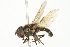  ( - JSS15322)  @11 [ ] CreativeCommons - Attribution (2011) CNC/CBG Photography Group Centre for Biodiversity Genomics