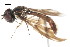  ( - JSS18881)  @11 [ ] CreativeCommons - Attribution (2011) CNC/CBG Photography Group Centre for Biodiversity Genomics