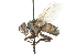  ( - CNC DIPTERA 104216)  @14 [ ] CreativeCommons - Attribution (2011) CNC/CBG Photography Group Centre for Biodiversity Genomics