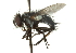  ( - CNC DIPTERA 104456)  @12 [ ] CreativeCommons - Attribution (2011) CNC/CBG Photography Group Centre for Biodiversity Genomics