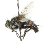  ( - CNC DIPTERA 105095)  @11 [ ] CreativeCommons - Attribution (2011) CNC/CBG Photography Group Centre for Biodiversity Genomics