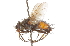  ( - CNC DIPTERA 105162)  @12 [ ] CreativeCommons - Attribution (2011) CNC/CBG Photography Group Centre for Biodiversity Genomics