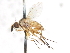  ( - CNC DIPTERA 105049)  @12 [ ] CreativeCommons - Attribution (2011) CNC/CBG Photography Group Centre for Biodiversity Genomics