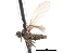  ( - CNC DIPTERA 103306)  @11 [ ] CreativeCommons - Attribution (2011) CNC/CBG Photography Group Centre for Biodiversity Genomics