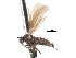  ( - CNC DIPTERA 103308)  @11 [ ] CreativeCommons - Attribution (2011) CNC/CBG Photography Group Centre for Biodiversity Genomics