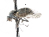  ( - CNC DIPTERA 103910)  @13 [ ] CreativeCommons - Attribution (2011) CNC/CBG Photography Group Centre for Biodiversity Genomics