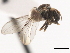  ( - JSS13981)  @12 [ ] CreativeCommons - Attribution (2011) CNC/CBG Photography Group Centre for Biodiversity Genomics
