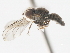  ( - JSS4927)  @12 [ ] CreativeCommons - Attribution (2011) CNC/CBG Photography Group Centre for Biodiversity Genomics