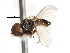  ( - JSS 11549)  @12 [ ] CreativeCommons - Attribution (2011) CNC/CBG Photography Group Centre for Biodiversity Genomics
