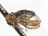  ( - CNC DIPTERA 103286)  @11 [ ] CreativeCommons - Attribution (2011) CNC/CBG Photography Group Centre for Biodiversity Genomics