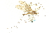  ( - CNC DIPTERA 106653)  @13 [ ] CreativeCommons - Attribution (2011) CNC/CBG Photography Group Centre for Biodiversity Genomics