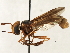  ( - JSS17553)  @11 [ ] CreativeCommons - Attribution (2013) CNC/CBG Photography Group Centre for Biodiversity Genomics
