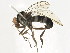  ( - JSS26019)  @11 [ ] CreativeCommons - Attribution (2013) CNC/CBG Photography Group Centre for Biodiversity Genomics