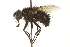  ( - CNC DIPTERA 162140)  @11 [ ] CreativeCommons - Attribution (2012) CNC/CBG Photography Group Centre for Biodiversity Genomics
