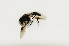  ( - CNC483133)  @12 [ ] No Rights Reserved (2015) Unspecified CNC