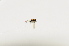  ( - CNC483170)  @11 [ ] No Rights Reserved (2015) Unspecified CNC