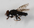  ( - CNC555540)  @13 [ ] No Rights Reserved (2015) Unspecified CNC