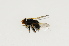  ( - CNC566606)  @11 [ ] No Rights Reserved (2015) Unspecified CNC