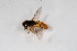  ( - CNC566762)  @11 [ ] No Rights Reserved (2016) Unspecified CNC