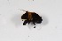  ( - CNC566826)  @12 [ ] No Rights Reserved (2016) Unspecified CNC