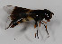  (Dideopsis - CNC566860)  @11 [ ] No Rights Reserved (2015) Unspecified CNC