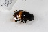  ( - CNC571935)  @12 [ ] No Rights Reserved (2016) Unspecified CNC