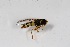  ( - CNC571946)  @11 [ ] No Rights Reserved (2016) Unspecified CNC