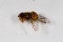  ( - CNC571991)  @11 [ ] No Rights Reserved (2016) Unspecified CNC