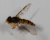  ( - CNC573743)  @13 [ ] No Rights Reserved (2015) Unspecified CNC