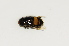  ( - CNC590610)  @12 [ ] No Rights Reserved (2015) Unspecified CNC