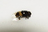  ( - CNC590649)  @12 [ ] No Rights Reserved (2015) Unspecified CNC