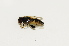  ( - CNC590661)  @11 [ ] No Rights Reserved (2015) Unspecified CNC