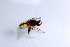  ( - CNC590732)  @11 [ ] No Rights Reserved (2015) Unspecified CNC
