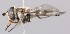  ( - Jeff_Skevington_Specimen45190)  @13 [ ] No Rights Reserved (2015) Unspecified CNC