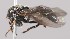  ( - Jeff_Skevington_Specimen45203)  @11 [ ] No Rights Reserved (2015) Unspecified CNC